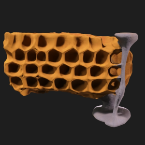 Amber Hex Fang