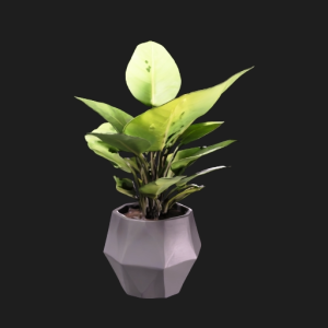 Verdant Vex
